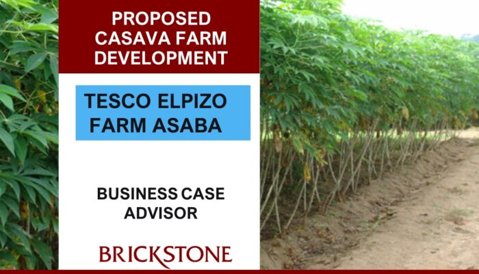agri-business project