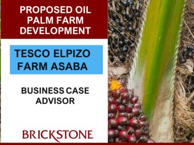 Oil Palm Agribusiness