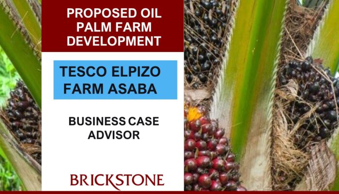 Oil Palm Agribusiness