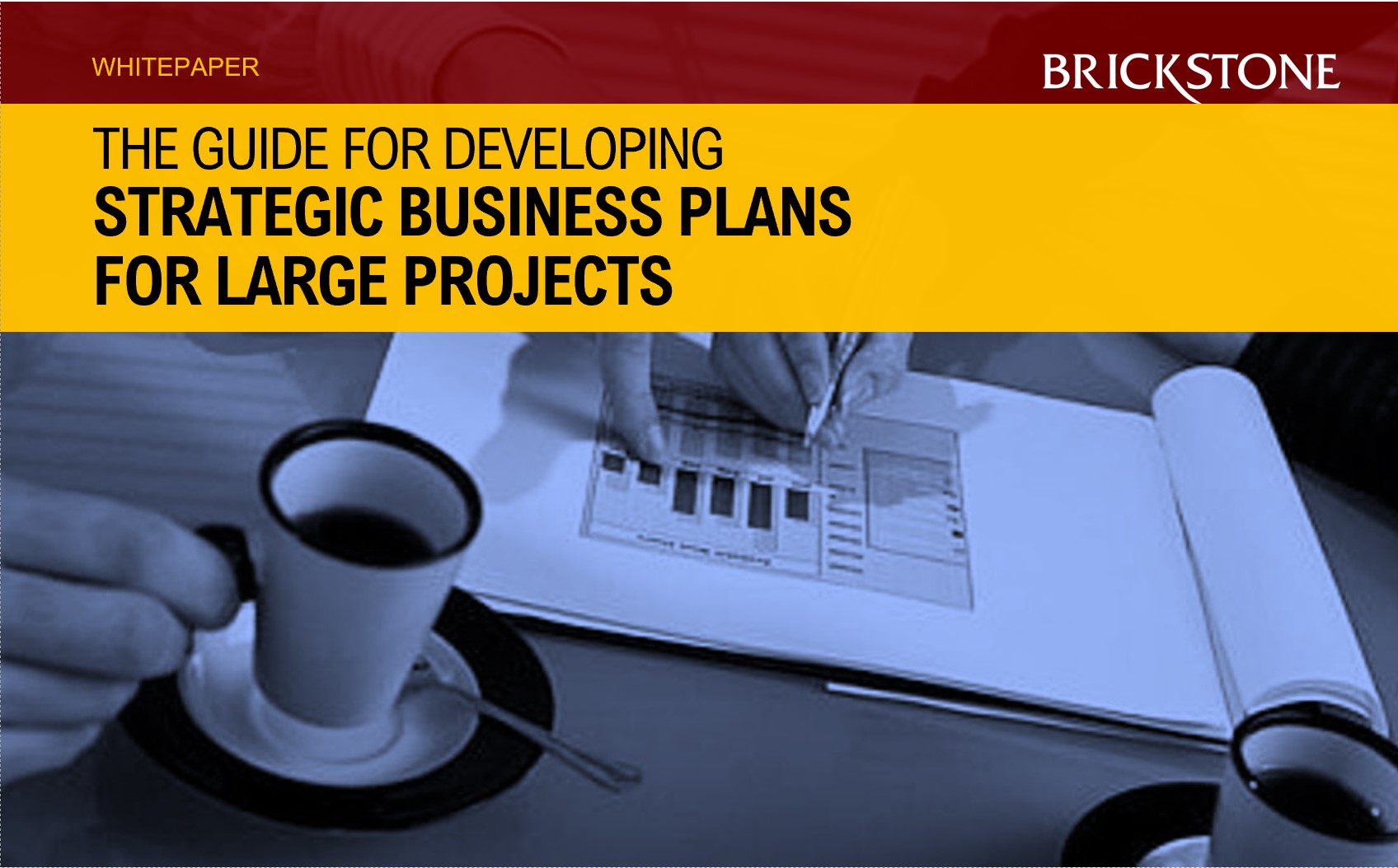 expert-strategic-business-plan-for-large-projects-download-e-book