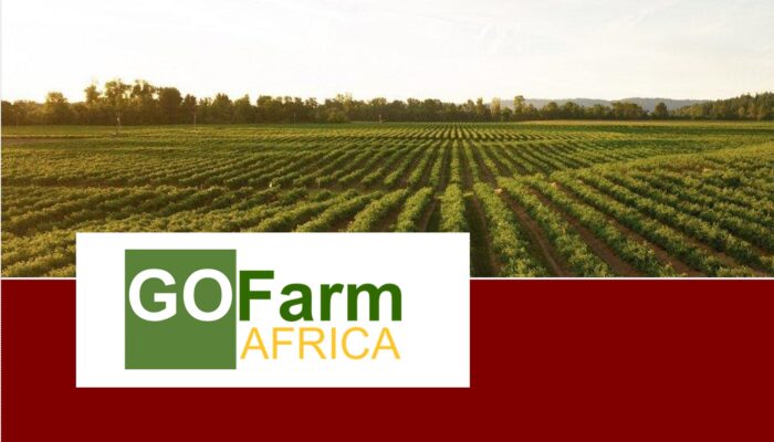 GoFarm Africa