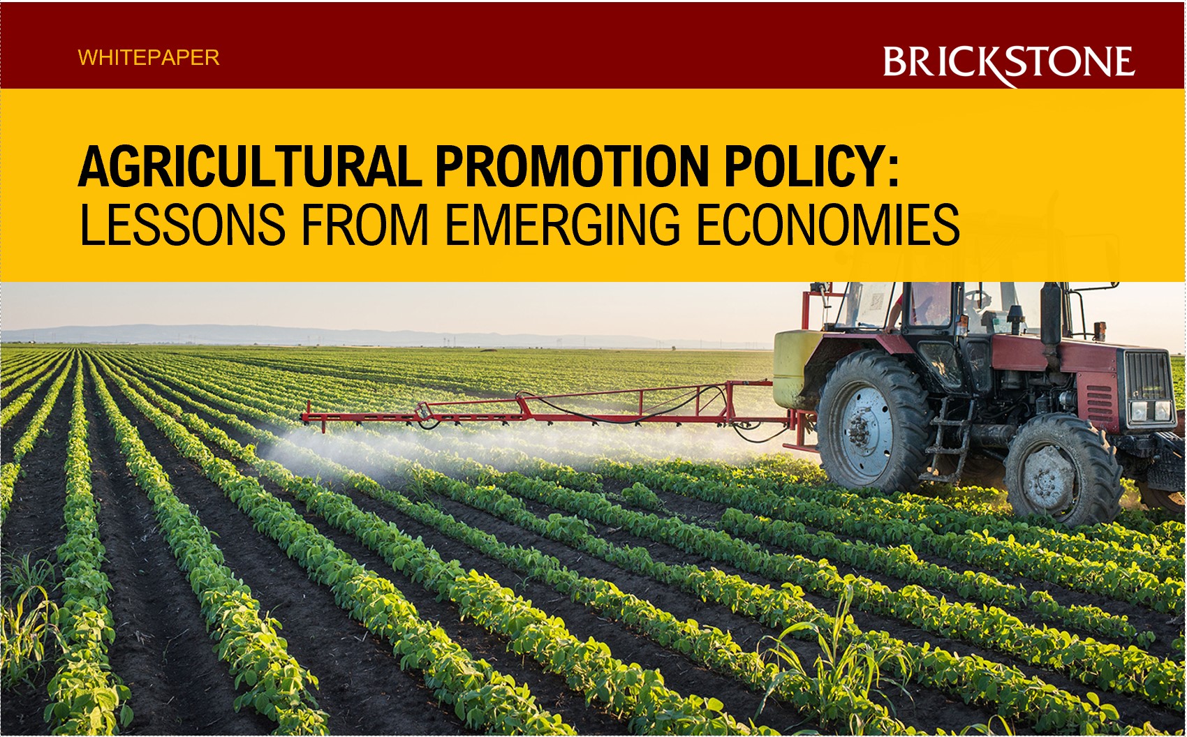 Agricultural Promotion