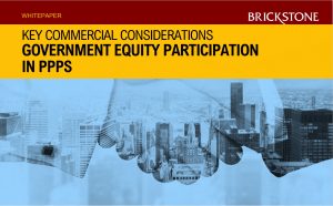 Government Equity Participation