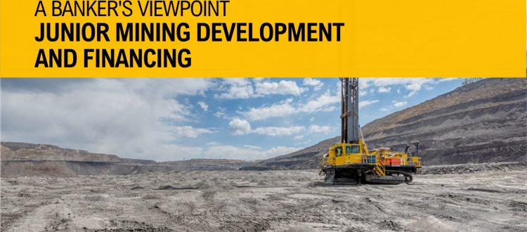 Junior Mining Development