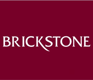Brickstone Logo Favicon