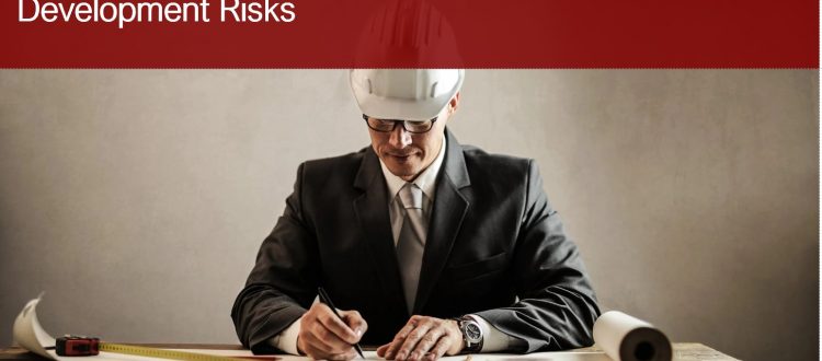 Managing Development Risks