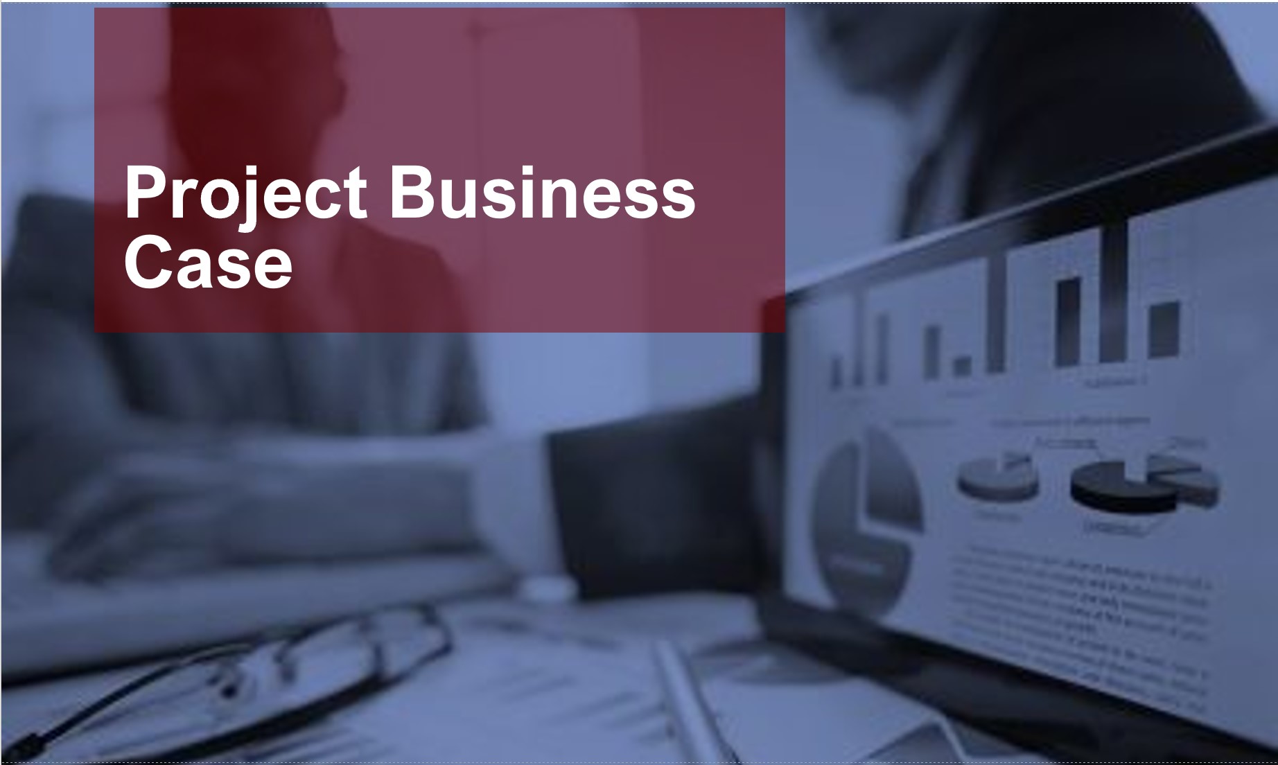 Project Business Case 