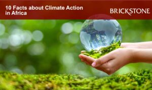 Climate Action