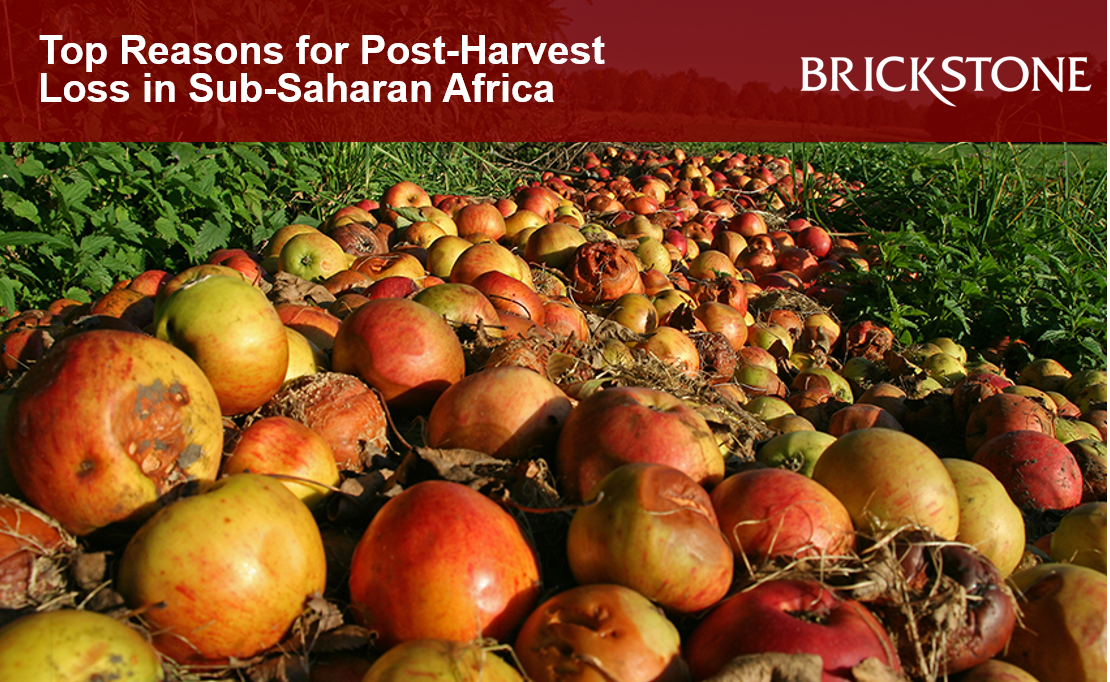 Post-harvest Loss in Sub-Saharan Africa