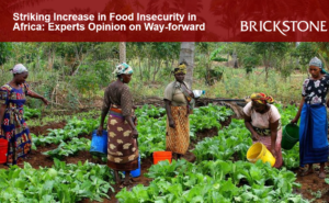 Food Insecurity in Africa