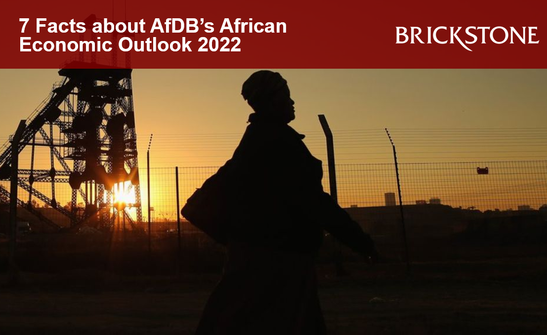 African Economic Outlook 2022