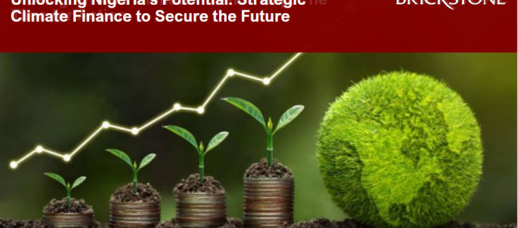 Unlocking Nigeria's Potential: Strategic Climate Finance to Secure the Future